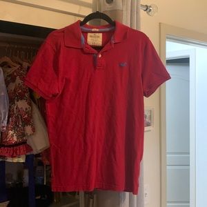 Hollister Polo (Medium)